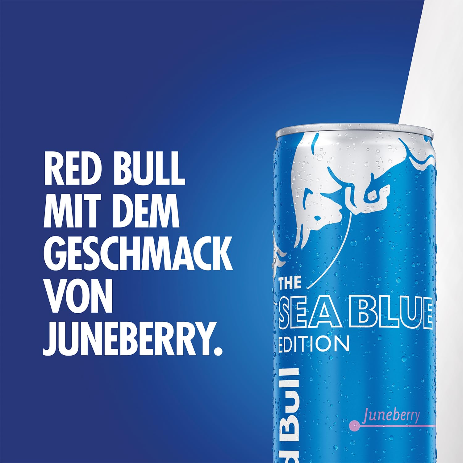 🌊 Red Bull Sea Blue Edition Juneberry – 250 ml
