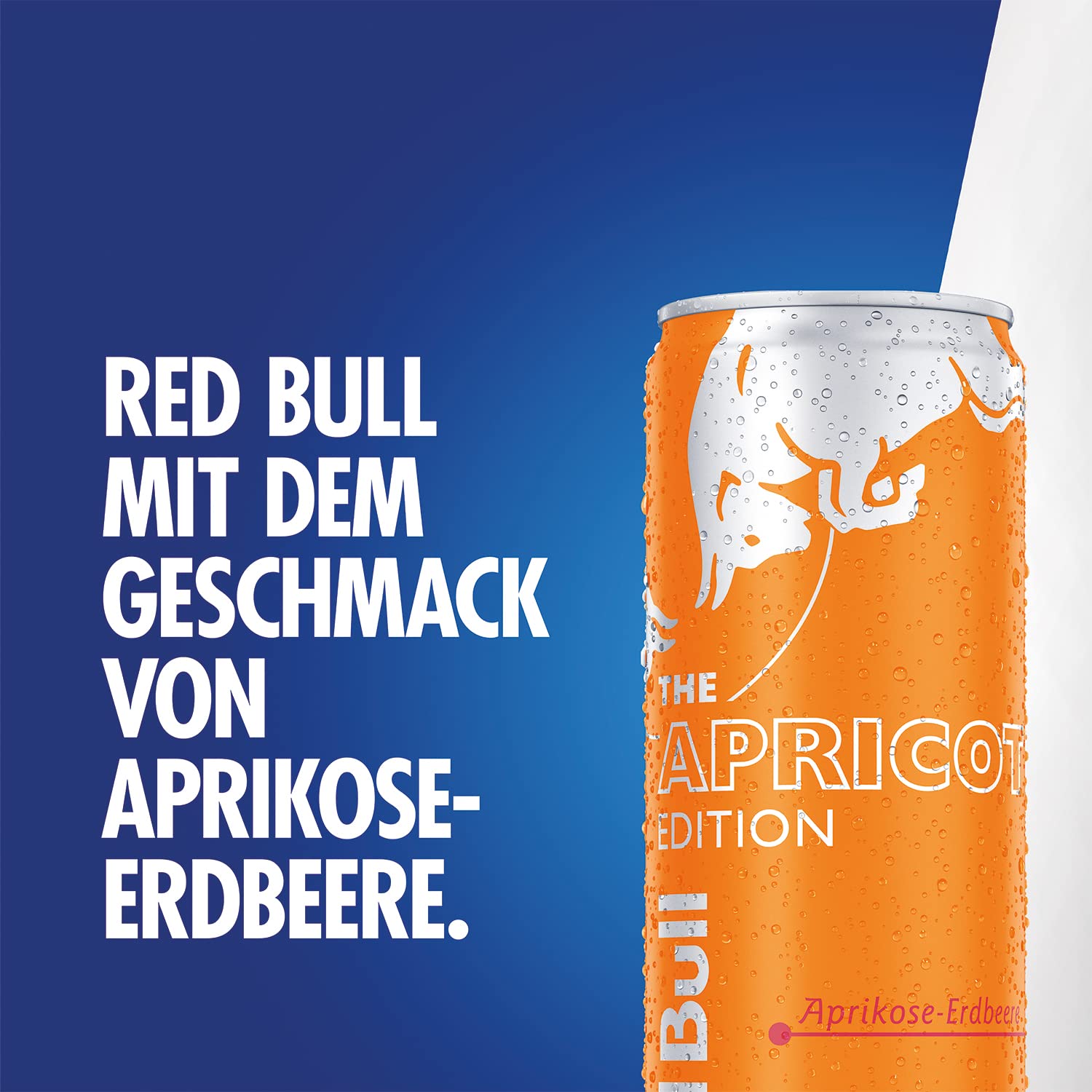 🟠 Red Bull Aprikose Erdbeere Edition – 250 ml