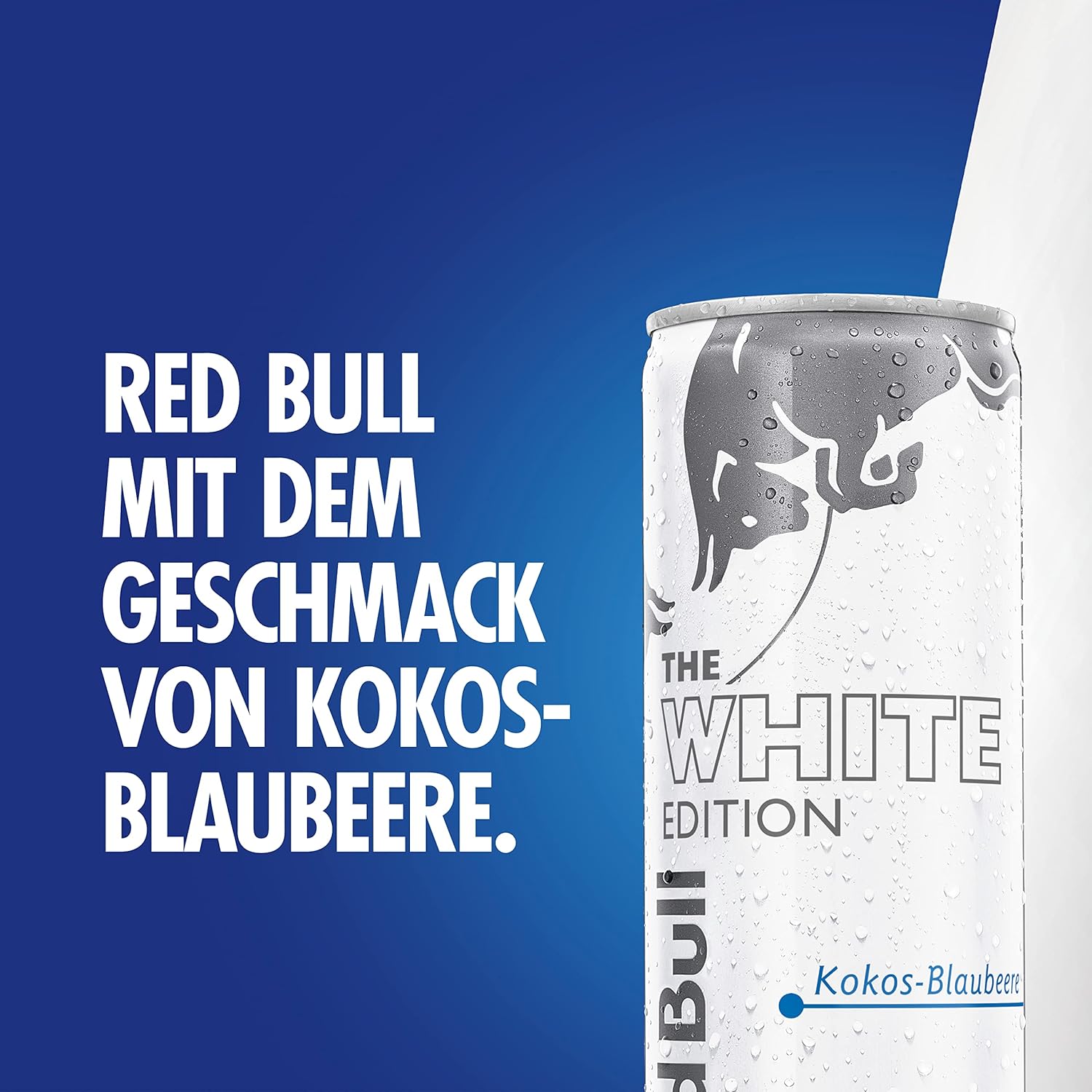 Red Bull Coconut Blueberry Edition – Kokos & Blaubeere Energy Drink 250 ml