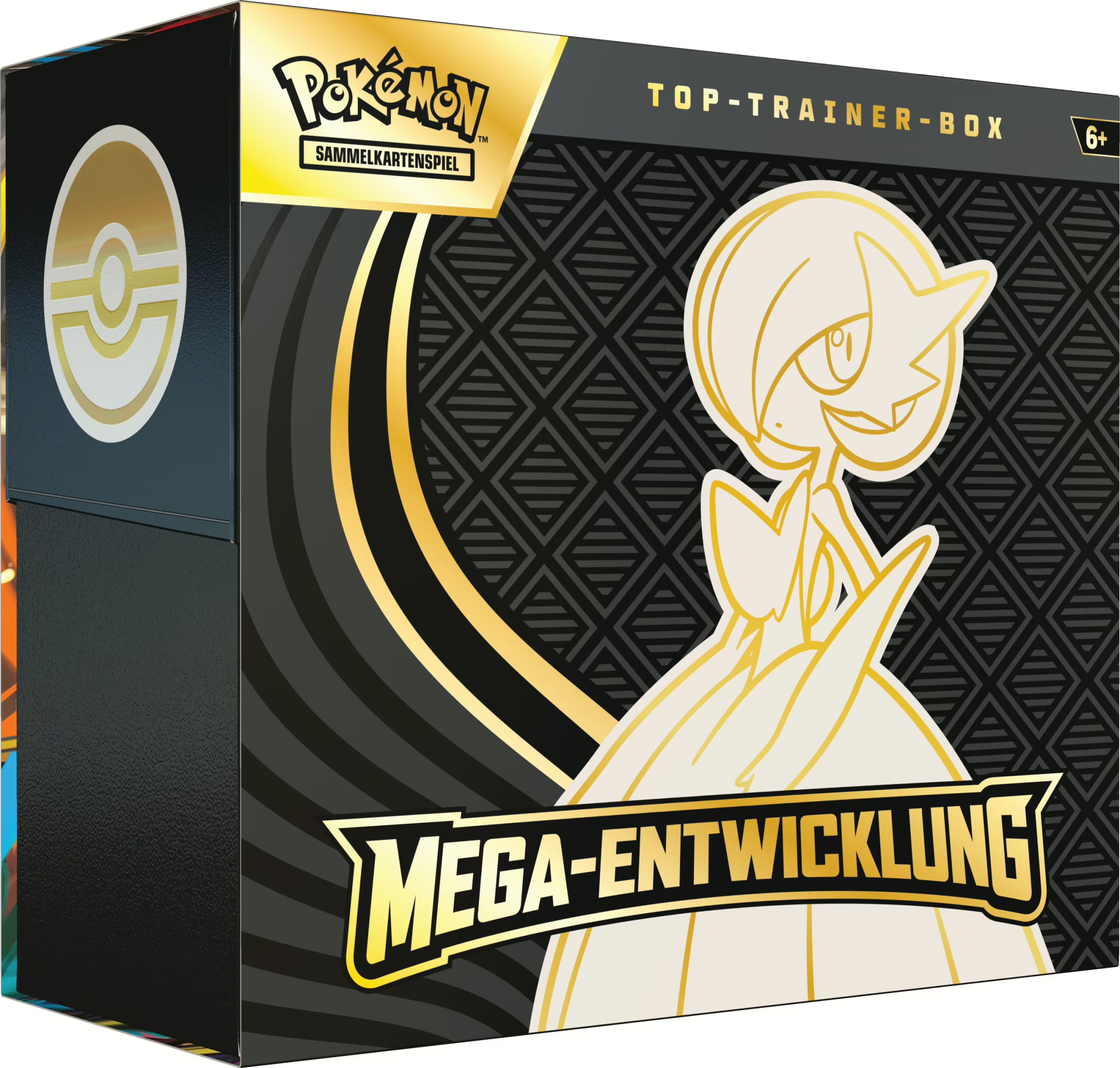Top- Trainer Box Mega Entwicklung